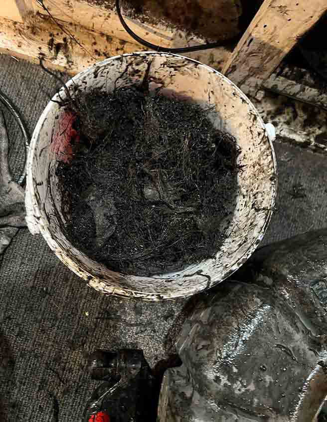 drain pipe with tree roots drain pipe with tree roots