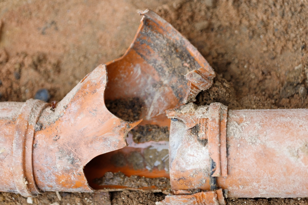 damaged sewer line section
