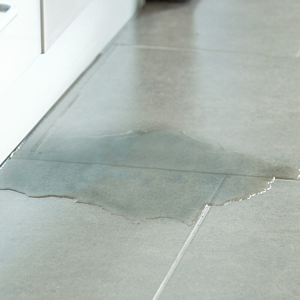 Close-up,Photo,Of,Flooded,Floor,In,Kitchen,From,Water,Leak Close-up Photo Of Flooded Floor In Kitchen From Water Leak